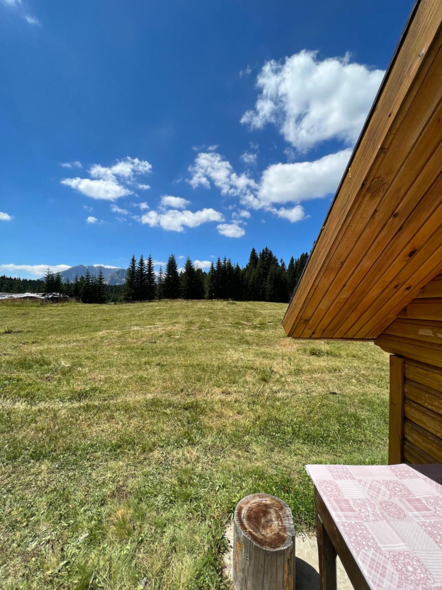 Homestay Djerkovic Žabljak Exterior foto