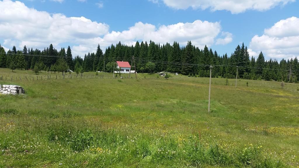 Homestay Djerkovic Žabljak Exterior foto